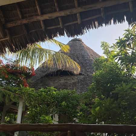 Pasa Lodge Zanzibar ナングウィ エクステリア 写真