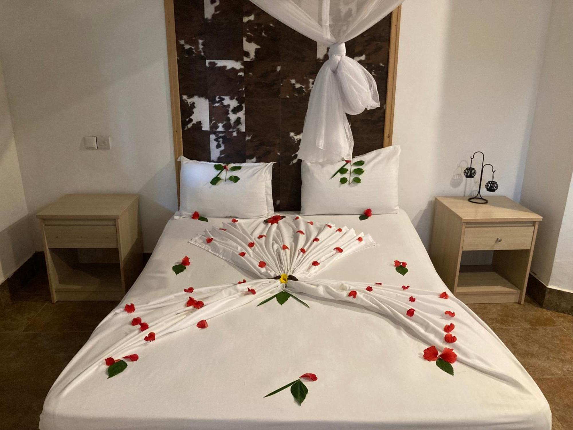 Pasa Lodge Zanzibar ナングウィ エクステリア 写真