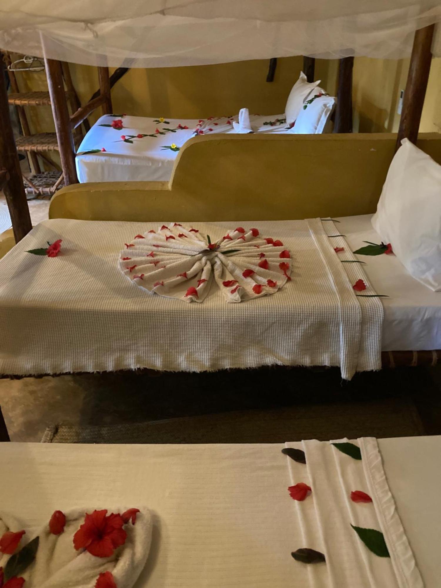 Pasa Lodge Zanzibar ナングウィ エクステリア 写真