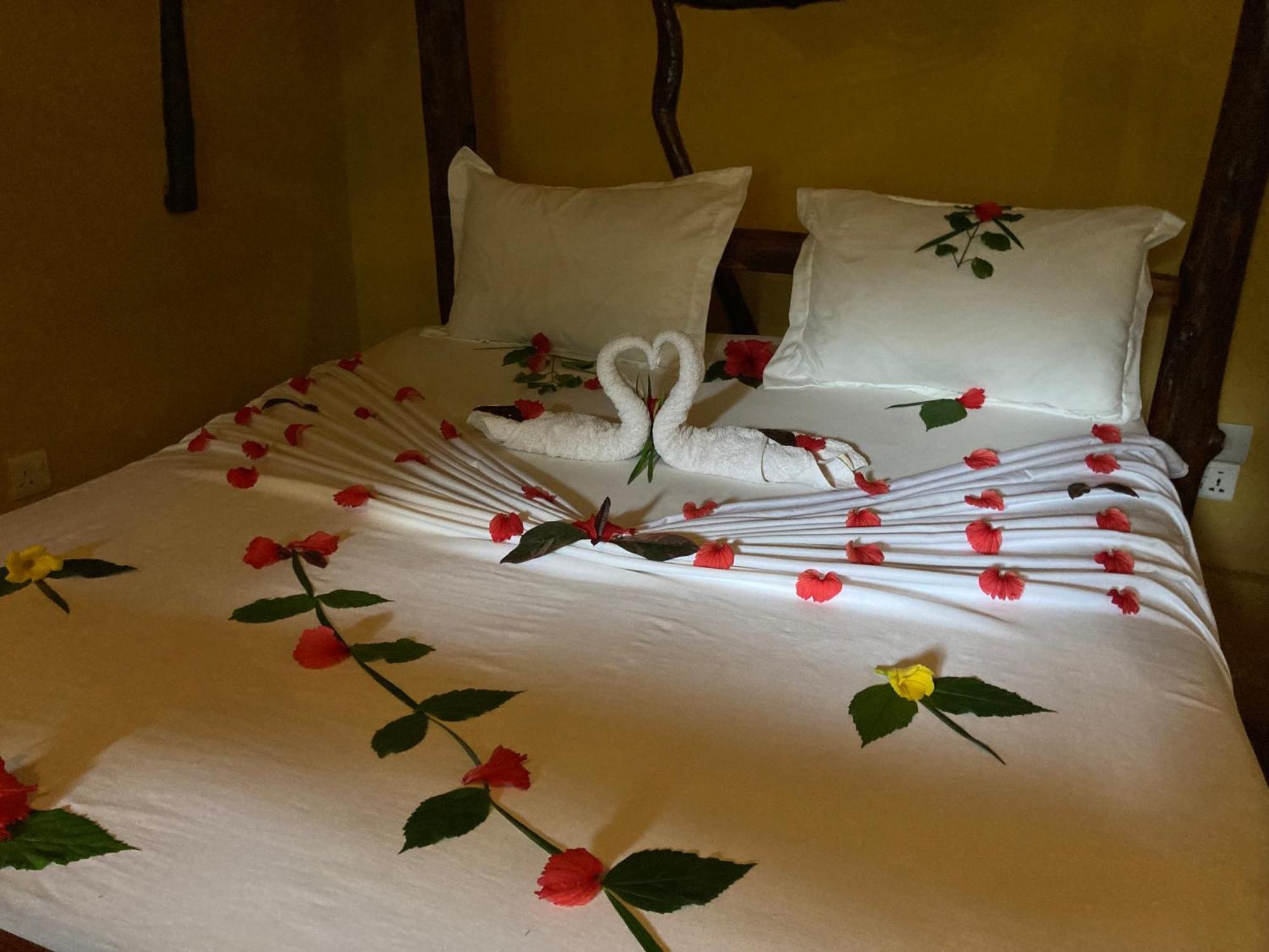 Pasa Lodge Zanzibar ナングウィ 部屋 写真