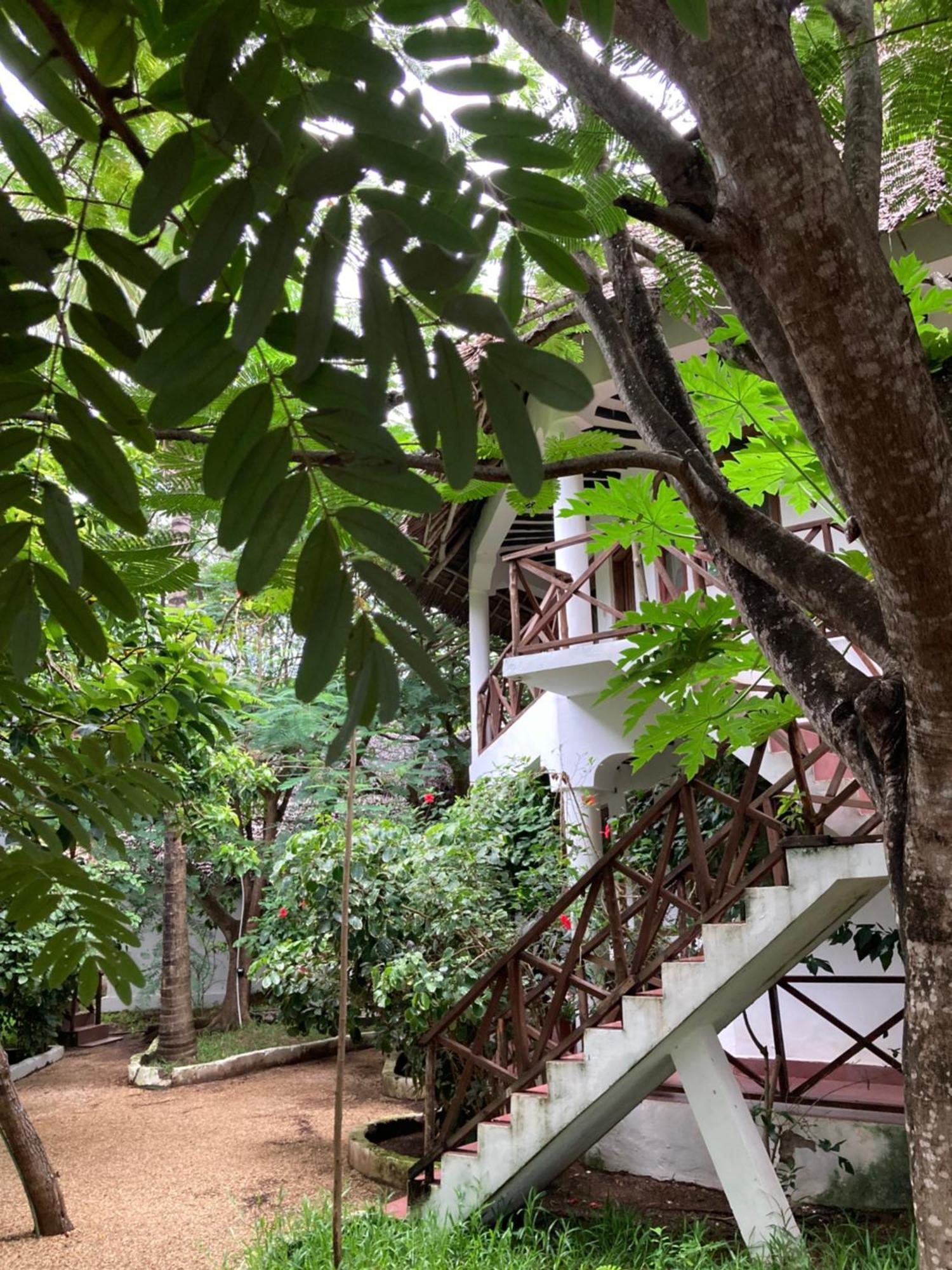 Pasa Lodge Zanzibar ナングウィ エクステリア 写真